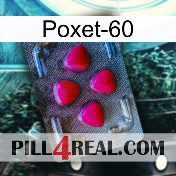 Poxet-60 13.jpg